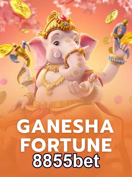 Programa VIP 8855bet